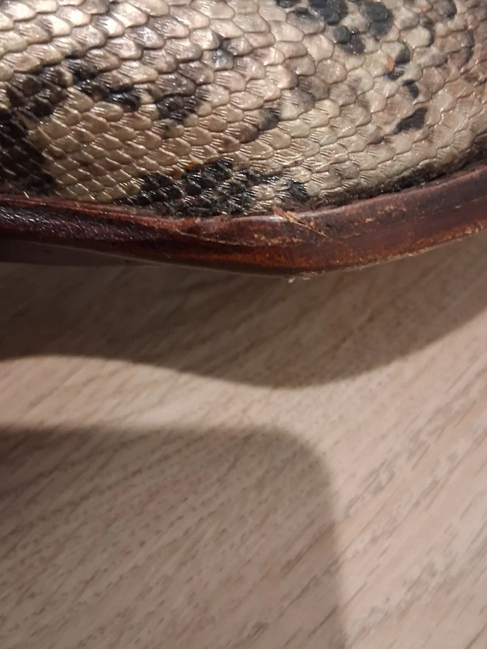 Women’s Brown Snake-Print Western Ankle Boots, Republic of Texas.